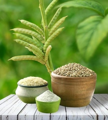 گوارگام